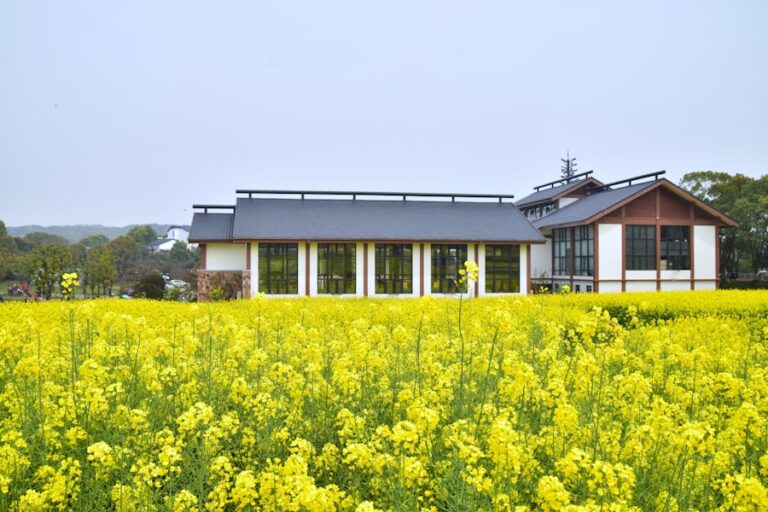 Projektowanie domów pasywnych: zrównoważony i ekologiczny styl życia 14 Photo Passive house design