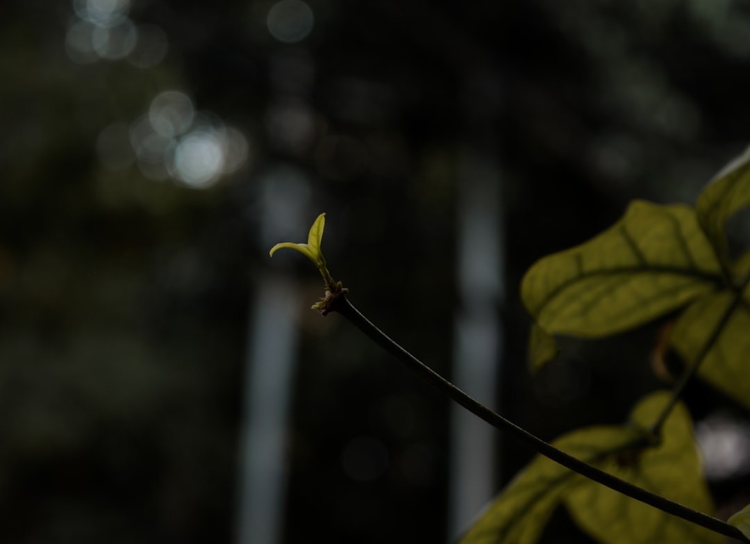 Lokale użytkowe adaptacja: Praktyczne porady i inspiracje 1 Photo adaptacja